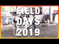 Field Days, 2019 -  Mini Horse Pulls