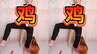 #鸡 #小鸡炖蘑菇 #东北小鸡炖蘑菇