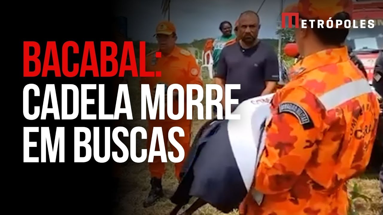 Bacabal: cadela dos bombeiros morre em buscas a crianças desaparecidas