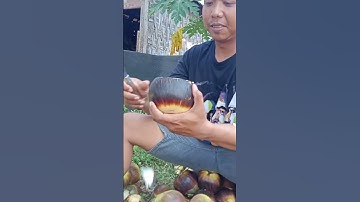 cara mengupas buah Siwalan atau buah lontar #shorts #tredingshorts #siwalan #tuak