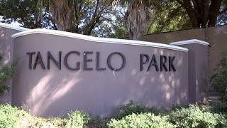 ONE Central Florida: Tangelo Park Transformation - April Edition
