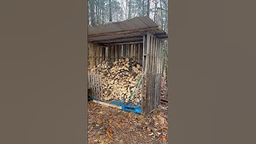 We’re all about reuse, repurpose, recycle! Free wood shed ✅ #homesteading #woodshed #palletwood