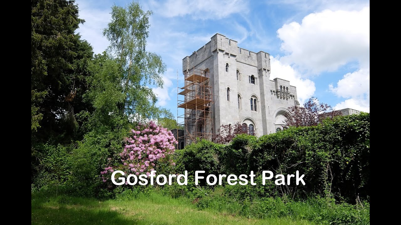 Gosford Forest Park, Markethill, Co.Armagh, NI YouTube