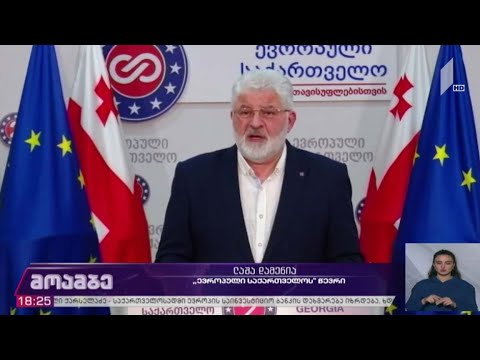 „ევროპული საქართველოს“ განცხადება