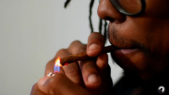 COOK LLOYD - CHOPSTICK DRACO OFFICIAL MUSIC VIDEO