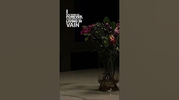 Thumbnail of Taylor Swift and Zayn Malik - I Don’t Wanna Live Forever 🖤 #shortvideo  #taylorswift #zaynmalik