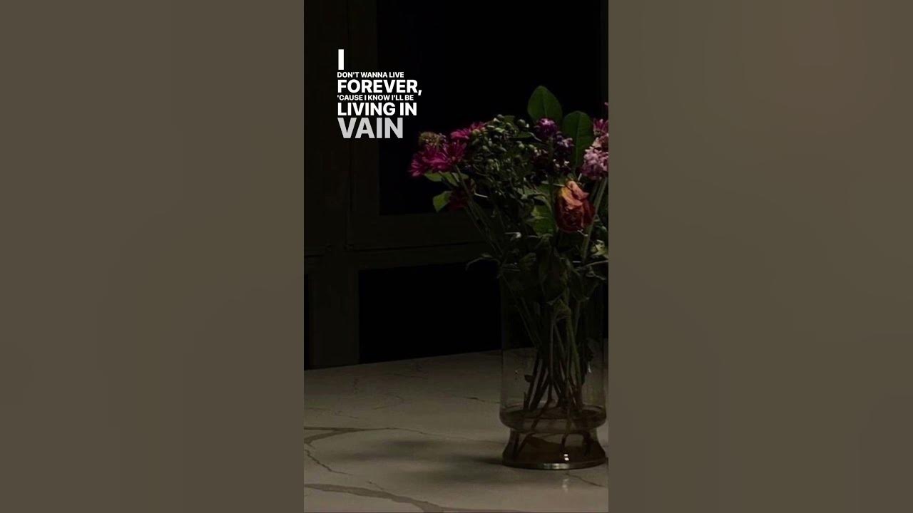 Taylor Swift and Zayn Malik - I Don’t Wanna Live Forever 🖤 #shortvideo  #taylorswift #zaynmalik