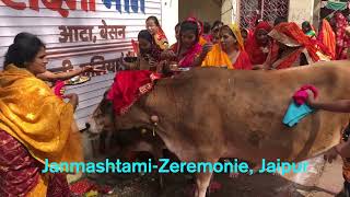 Janmashtami Zeremonie, Jaipur