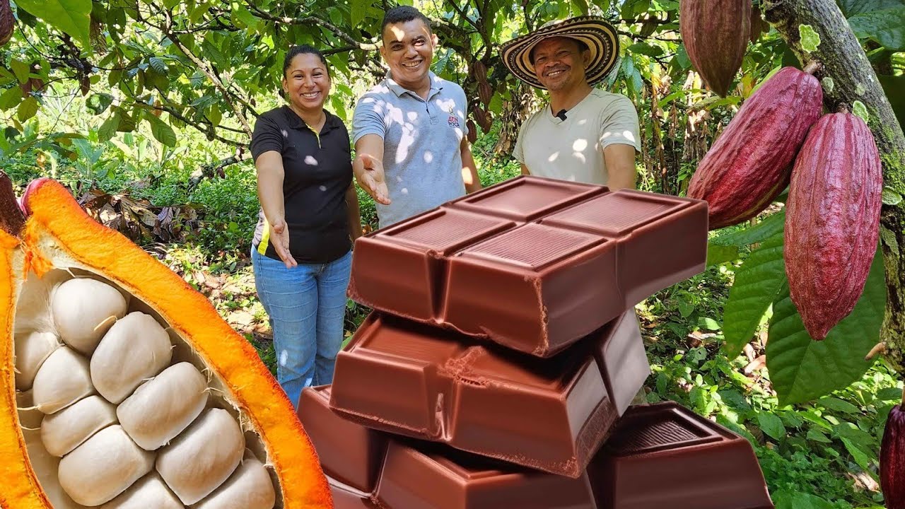 ✅️CHOCOLATINA  y CHOCOLATE CASERO sin azúcar, fácil y 100% Artesanal paso a paso.❤