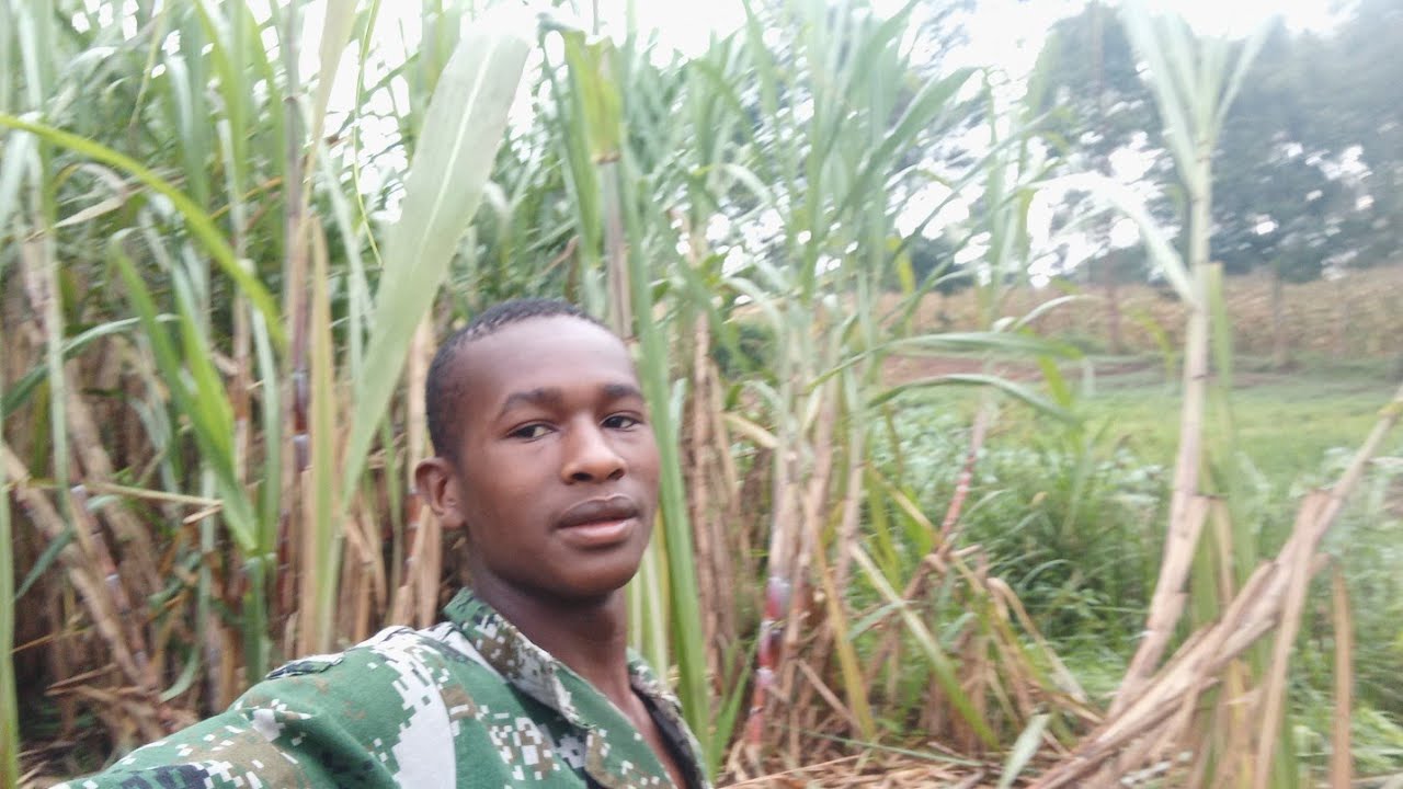 28 January 2026 people must work 