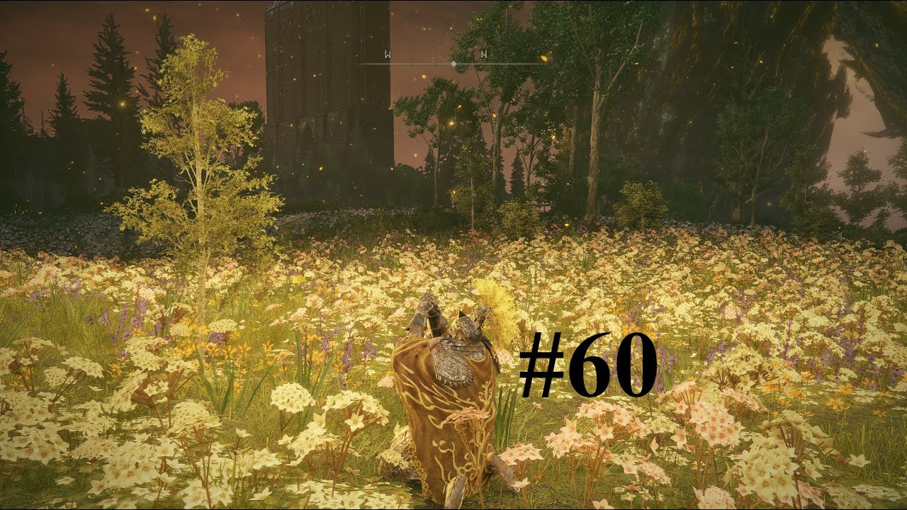 Elden Ring STR Build (%100 Bitirme) Bölüm 60 - YouTube