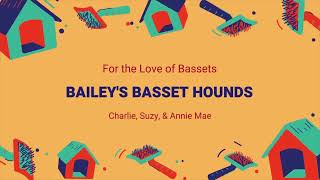 Bailey’s Bassets Breakfast Menu by Bailey's Basset Hounds 378 views 2 years ago 3 minutes, 15 seconds