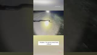 Massive 17-Foot Python Is the 2nd Heaviest Ever Caught in Florida #shorts Wealth