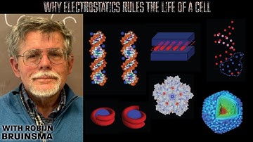 Why Electrostatics Rules the Life of a Cell with Robijn Bruinsma