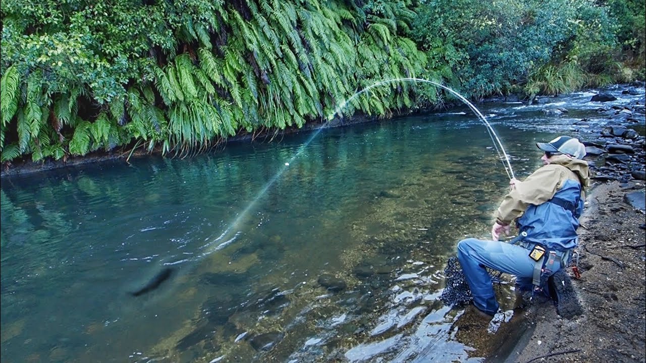 Fly Fishing in Rivers and Streams