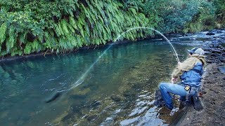 Fly Fishing one of the Best Rivers in the World! (part 1)