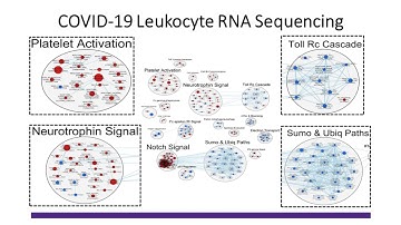 TARGETED PROFILING OF CRITICALLY ILL SARS CoV 2 SUBJECTS  FROM TRANSCRIPTOME TO PROTEOME 1