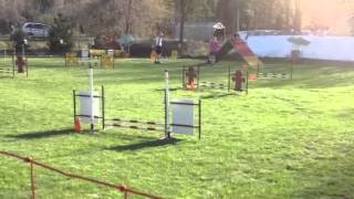 Flash, Steeplechase, May 4, 2013