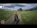 Red Dead Redemption 2_20181105165545