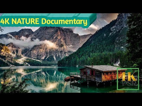 The best 4K Nature Documentaries | 4K YOUTUBE ❤️❤️ - YouTube