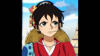 Luffy-Chan