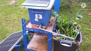 IoT BASED CONTROL AND MONITORING FOR AQUAPONIC SYSTEM