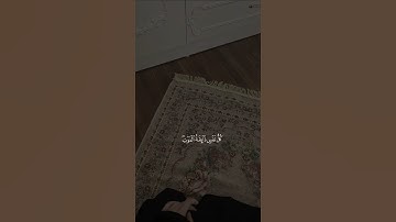سورة العنكبوت + اجر لي ولكم ❤️
