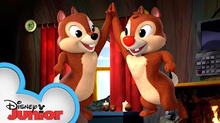 Shake Your Tails! | Compilation | Shake Your Tail with Chip ‘n Dale! | @disneyjunior
