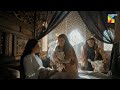 Salahuddin Ka Bacha Paida Ho Gaya | #sultansalahuddinayyubi - HUM TV