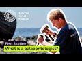 Palaeontology Quiz