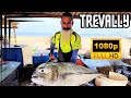 Giant trevally fish cutting mastery  expert tips for flawless execution
