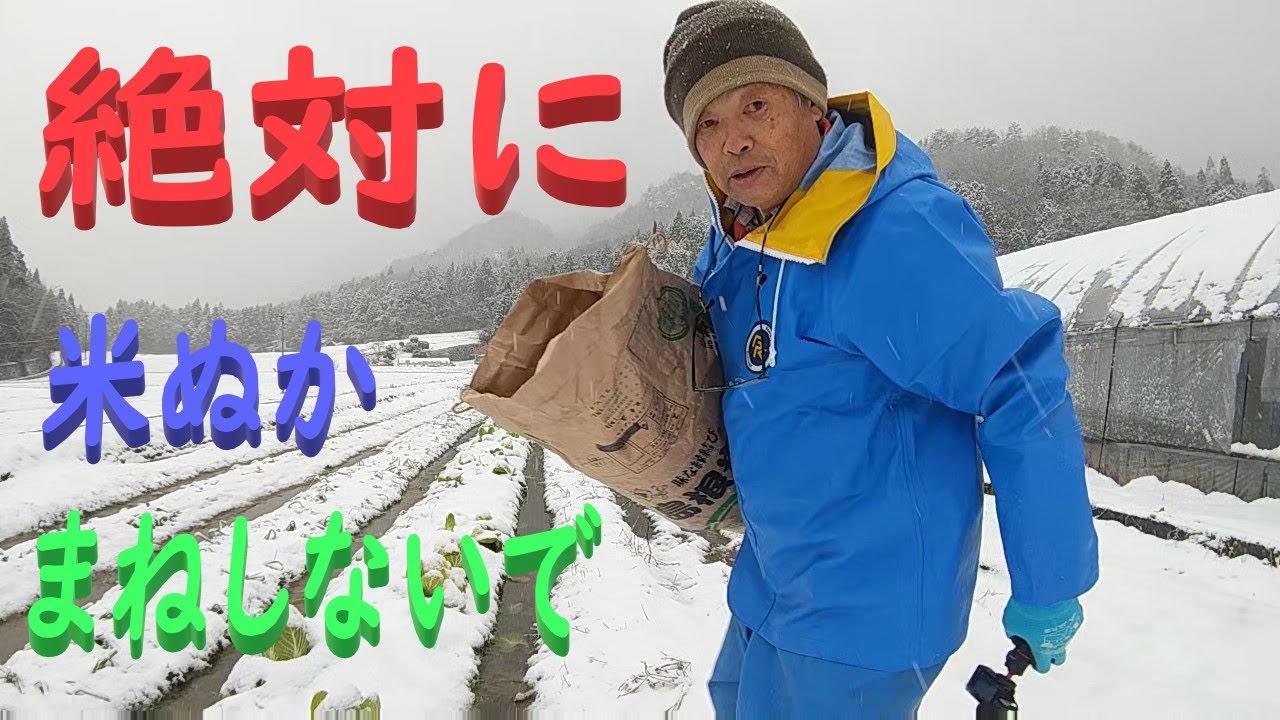 Komagawa Farm in Onan Town applies large amounts of rice bran to