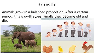 Class-3 Science Ch-2 Lecture-14 (Difference Between Plants and Animals)