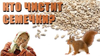 Как очищаются семечки на производстве? Сидят бабушки и ...