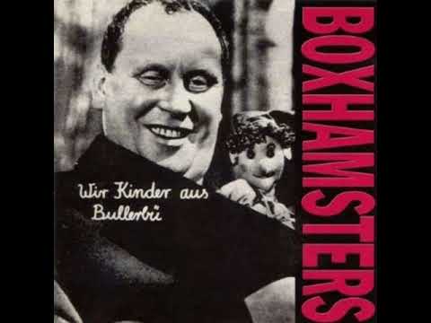 Boxhamsters - Prost Neujahr Jr.