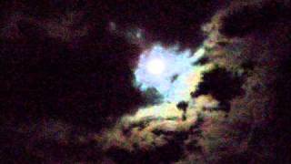 Flunk Play.wmv