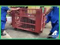 QQ Arrives Safely At Sanctuary 😍🏡 | Animals Asia