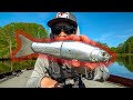 Worlds first metal glidebait  will it actually catch fish