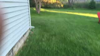 Mass. outdoor grow 2022 Part 1. Learned a lot from last year!!!