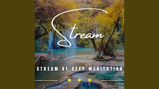 Serene Streamside Reflections