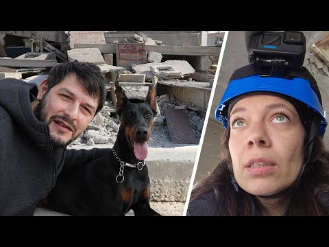 Video: Heyecanlı Bir Köpeği Evde İşitmeyi Durdurmak İçin En İyi Eğitim Yöntemi