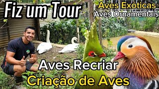 TOUR pelo AVES RECRIAR | CRIAÇÃO de AVES EXÓTICAS | AVES ORNAMENTAIS @AvesRecriar
