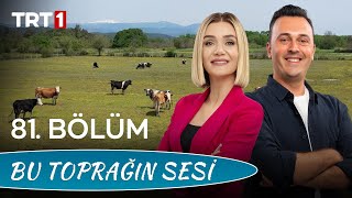 Bu Toprağın Sesi 81. Bölüm - Verimli Bir Süt İşletmesi Nasıl Olmalı?