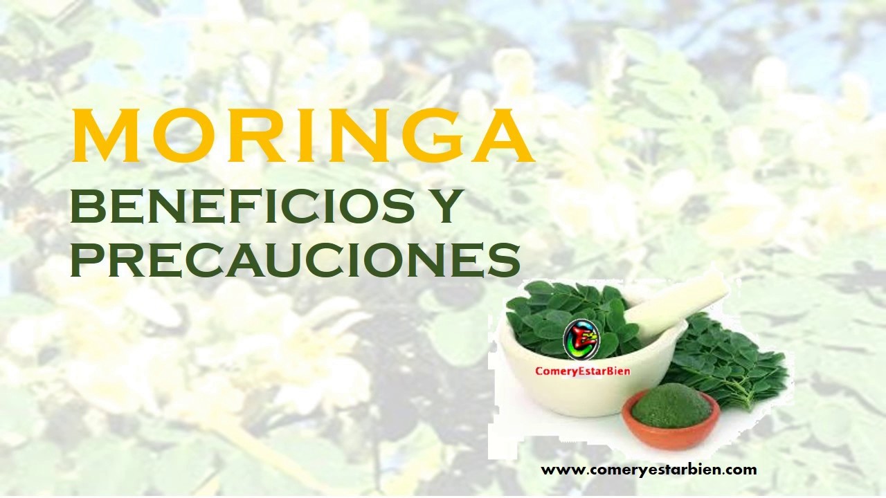 hojas frescas de moringa beneficios hojas frescas de moringa beneficios