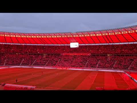 1. FC Union Berlin – VfL Bochum | Bundesliga, 32. Spieltag Saison 2023/24 | sportstudio