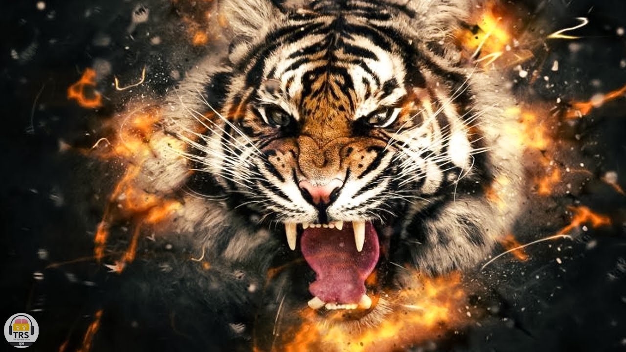 ASIA Ke Sabse Khatarnak TIGER Ki Kahaani Hans Dalal TRS Clips हिंदी