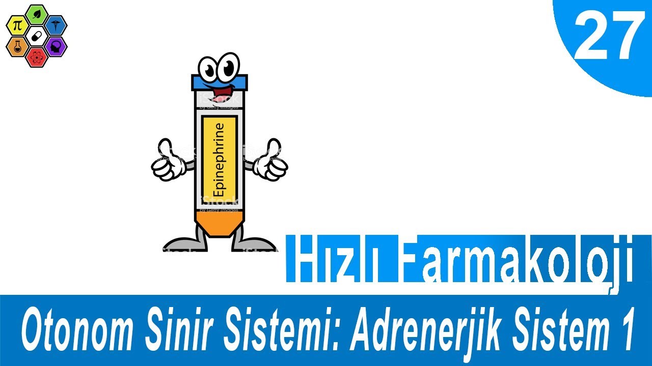 OTONOM SİNİR SİSTEMİ: ADRENERJİK SİSTEM 1 | Hızlı Farmakoloji #27