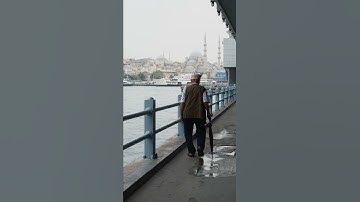 سورة النصر تلاوة خاشعة #القرأن الكريم#