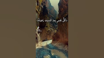 كل نفس بما كسبت رهينة القارئ بدر التركي