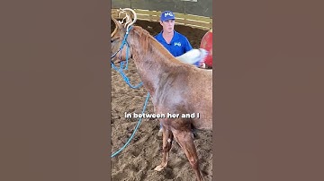 Unhandled Horse to First Ride Part 7 | The Horse Guru - Michael Gascon